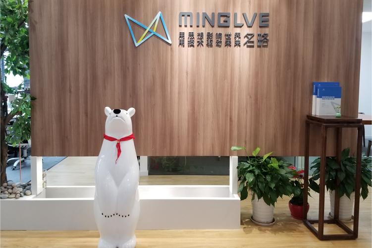 上海名略企业管理咨询